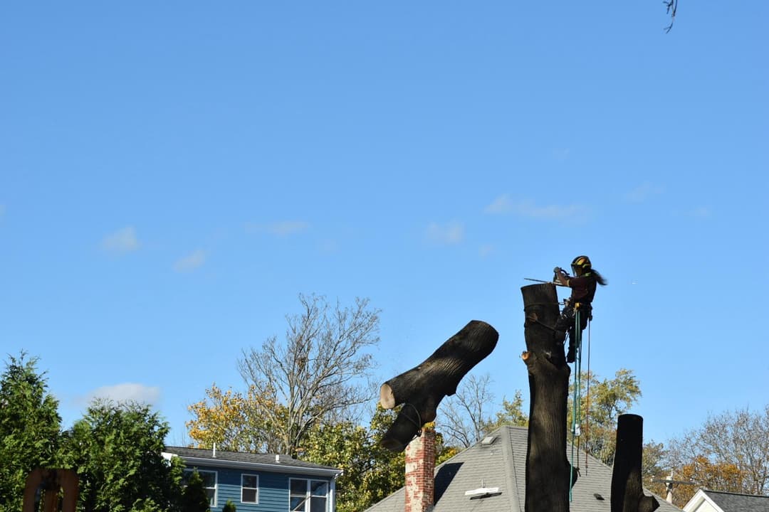 Aerial lift and work truck used for professional tree service